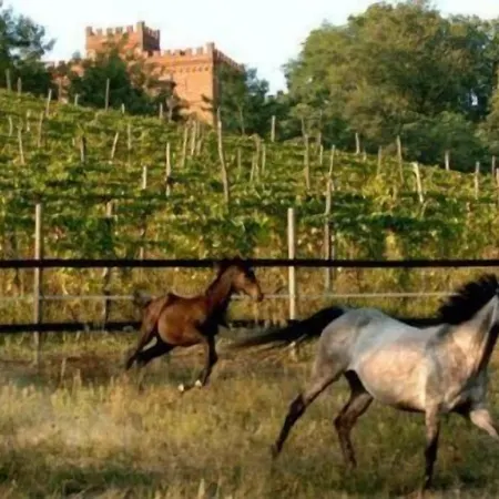 La Cascina Del Castello Bauernhof Asti