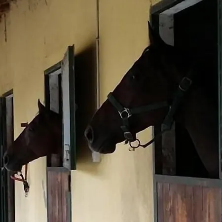 La Cascina Del Castello * Asti