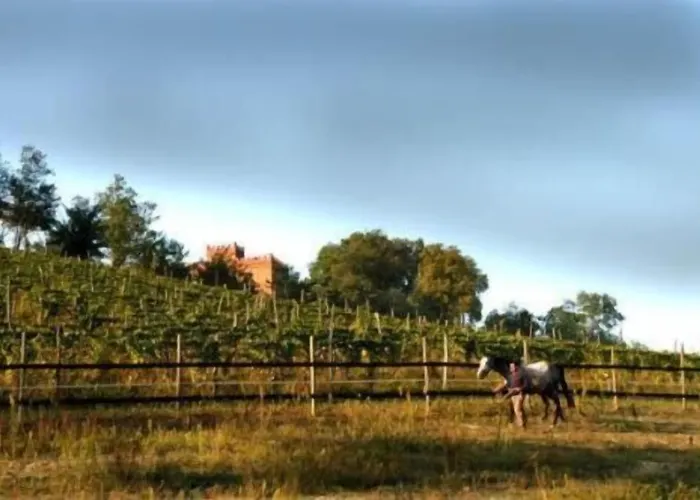 Alojamento de Turismo Rural La Cascina Del Castello