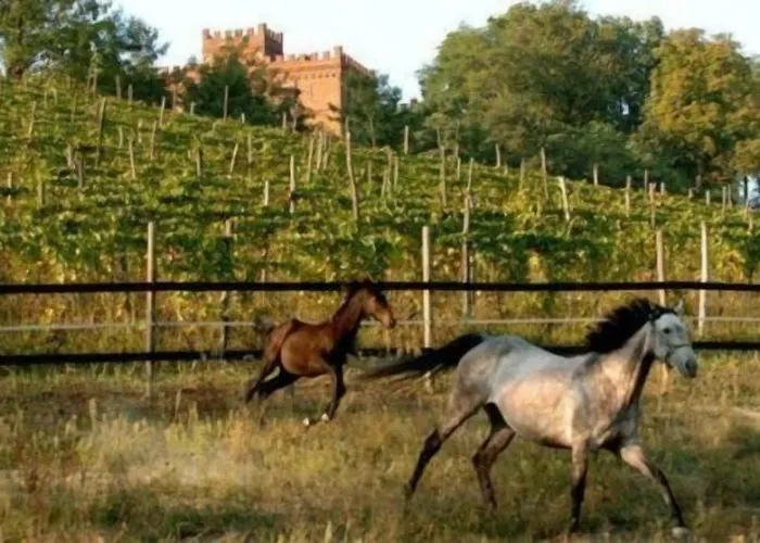 La Cascina Del Castello Alojamento de Turismo Rural Asti