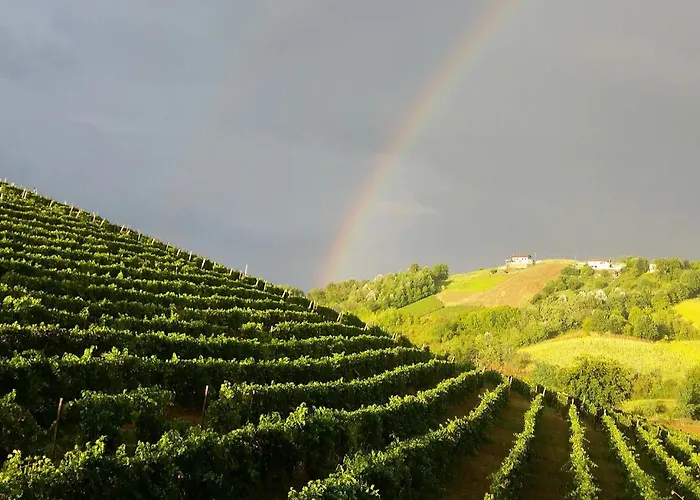 La Cascina Del Castello