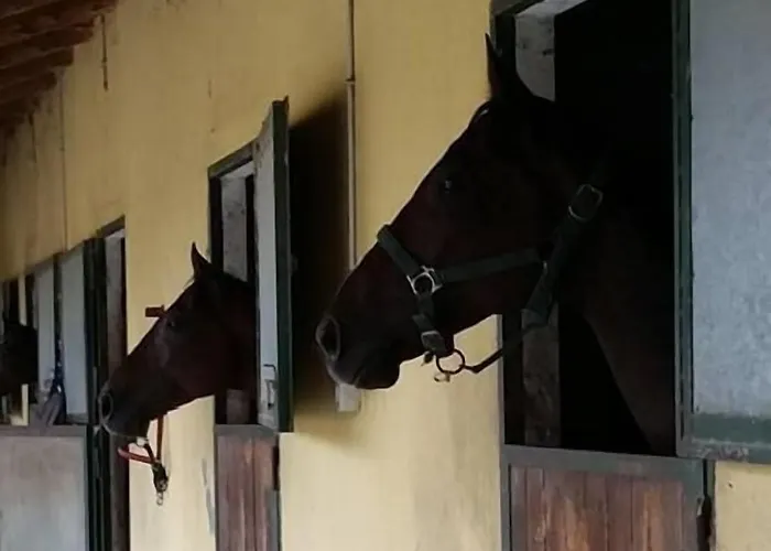 La Cascina Del Castello * Asti